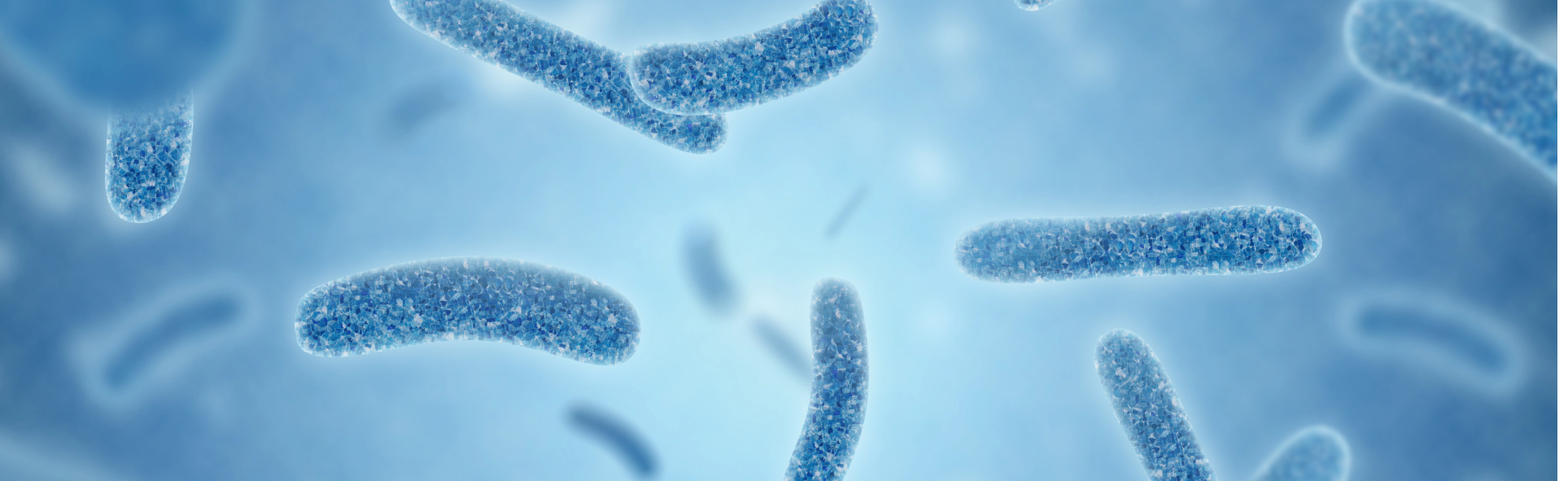 Actimel | Żywe kultury bakterii
