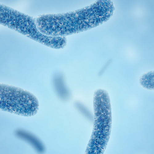 Korzystne działanie żywych kultur bakterii | Actimel
