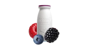 Actimel Owoce Leśne